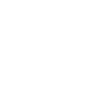 Selo R2V